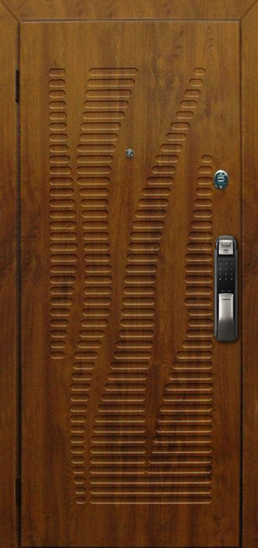Входная дверь с электронным замком